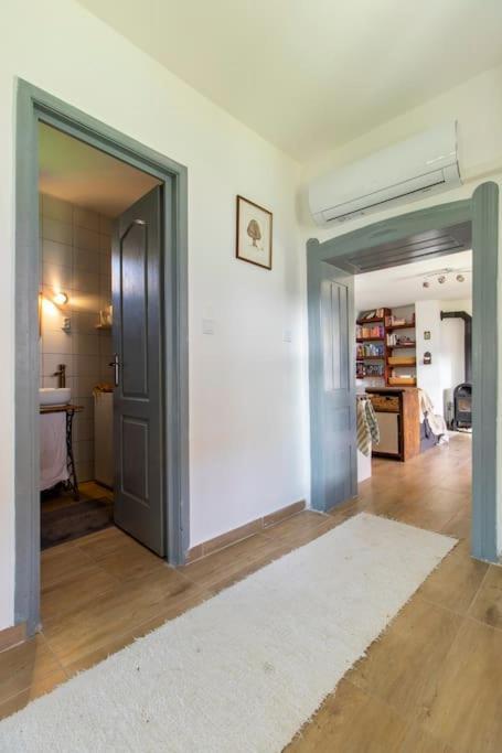 Tulipanos Porta *