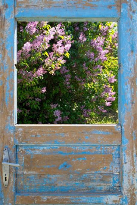 Tulipanos Porta *